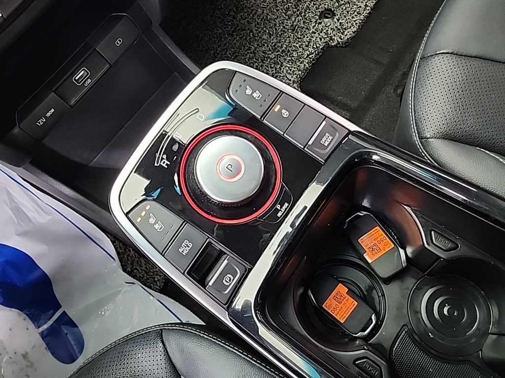 기아 니로 EV 프레스티지 - 이미지 13