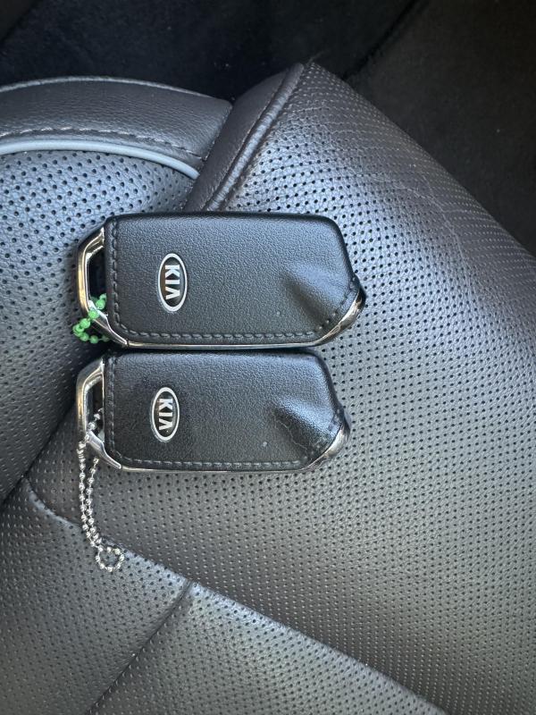 기아 더 K9(RJ) 3.8 GDI AWD 플래티넘Ⅱ - 이미지 9