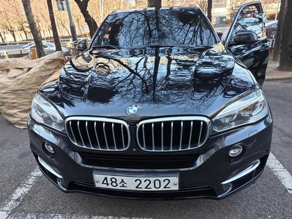 BMW X5(3세대) 30d xDrive - 이미지 5