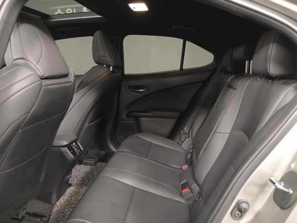 렉서스 UX 250h 2WD F 스포츠 - 이미지 19