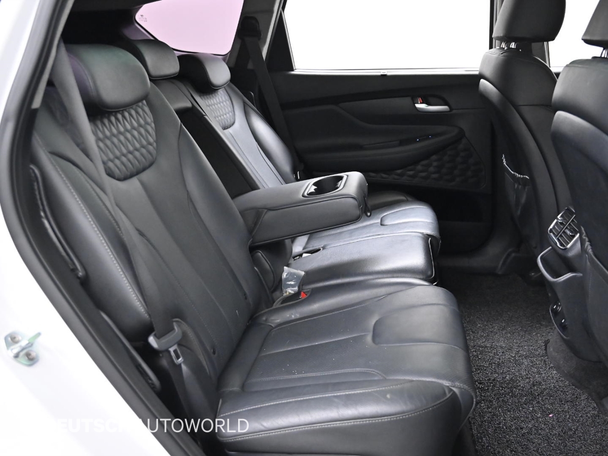 현대 싼타페(TM) R2.2 2WD 프레스티지 - 이미지 3