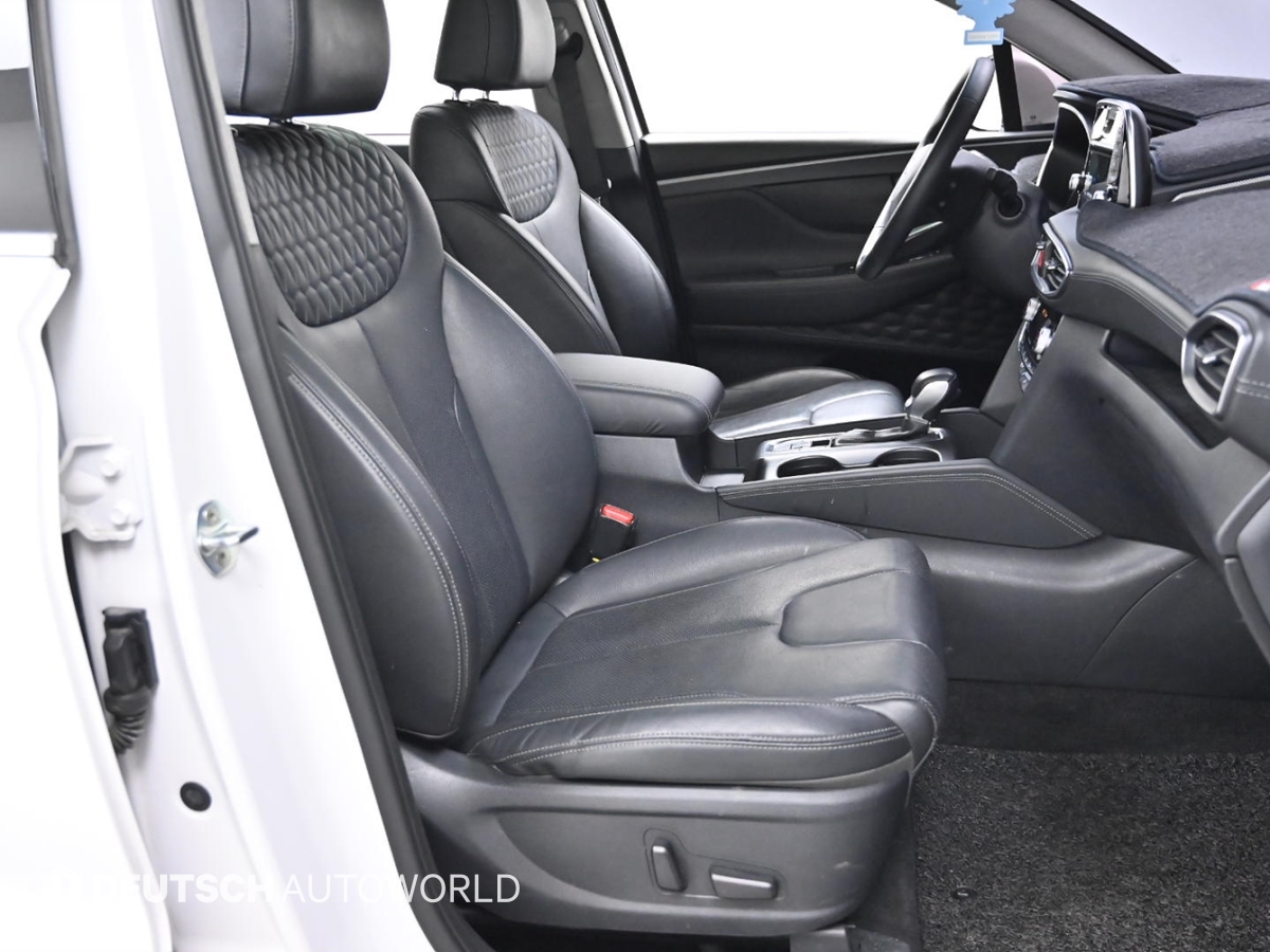 현대 싼타페(TM) R2.2 2WD 프레스티지 - 이미지 8