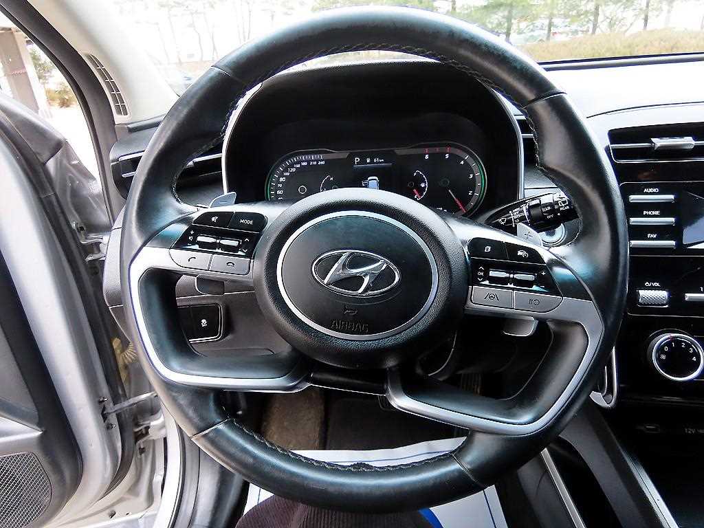 현대 더 올뉴투싼 2.0 디젤 AWD 프리미엄 - 이미지 6