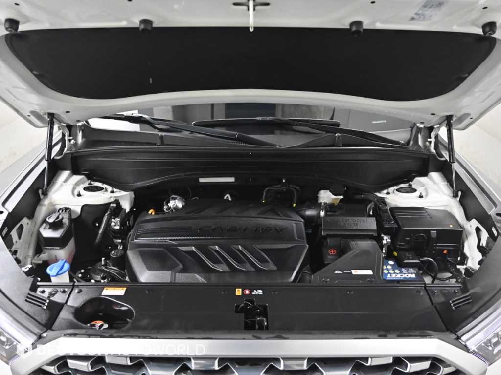 현대 팰리세이드 2.2 디젤 익스클루시브 - 이미지 6