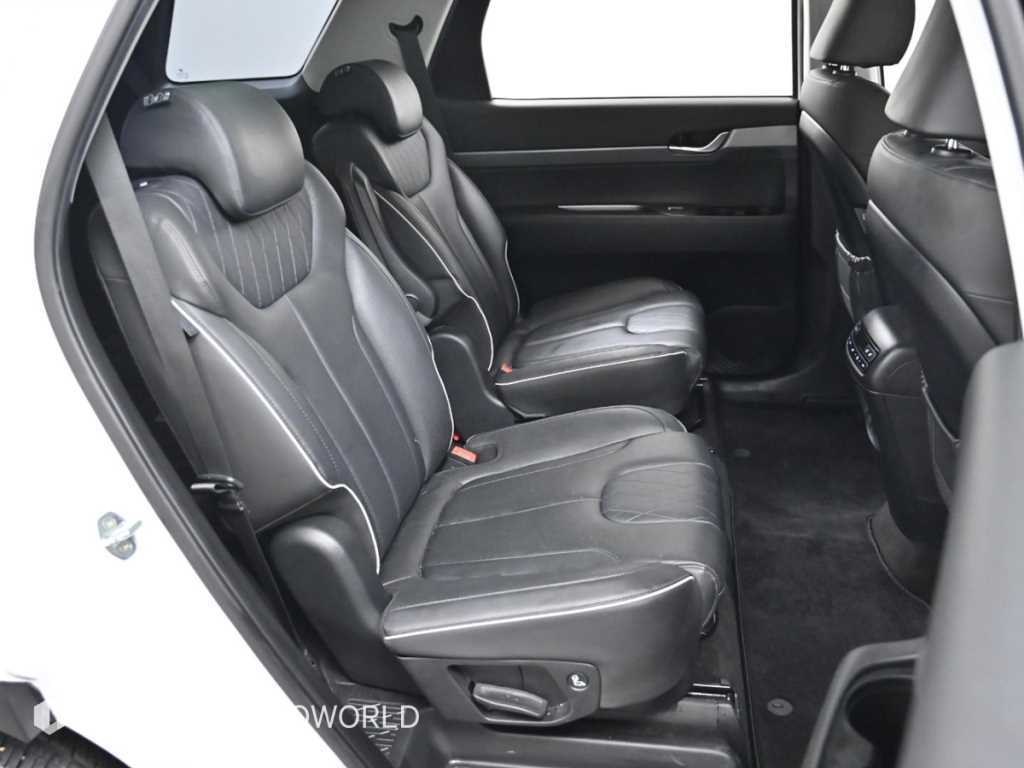 현대 팰리세이드 2.2 디젤 익스클루시브 - 이미지 15