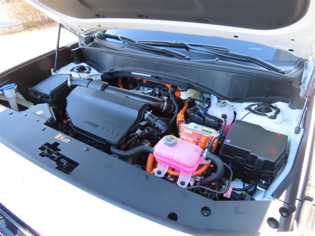 현대 디 올뉴팰리세이드 하이브리드 2.5 HEV AWD 캘리그래피 - 이미지 13