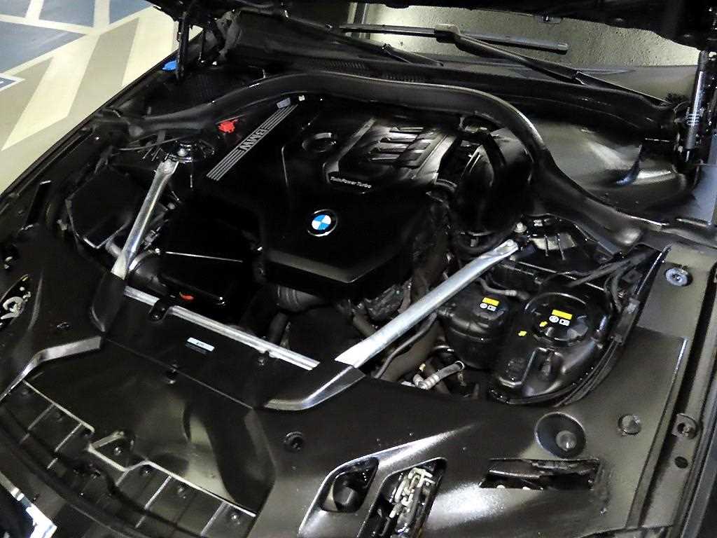 BMW 5시리즈(7세대) 530i xDrive M 스포츠팩 - 이미지 9