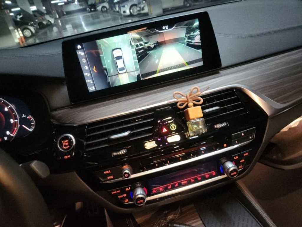 BMW 5시리즈(7세대) 520d M스포츠팩 플러스 - 이미지 6