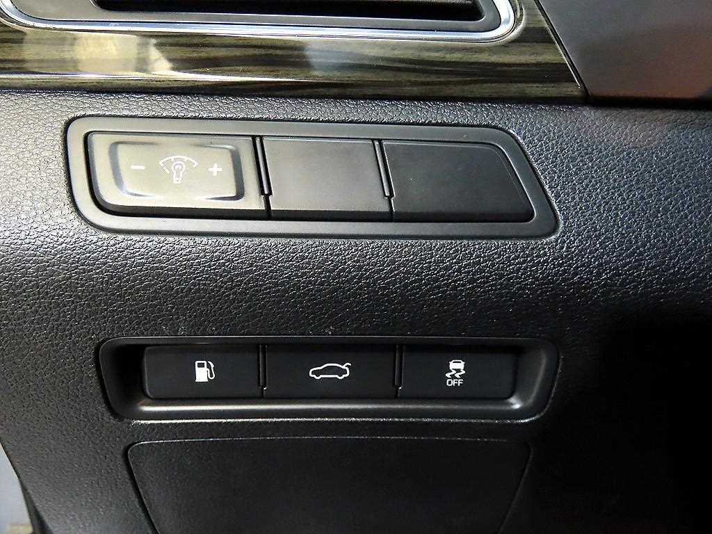 현대 LF쏘나타 LPi 장애인 스마트 - 이미지 4