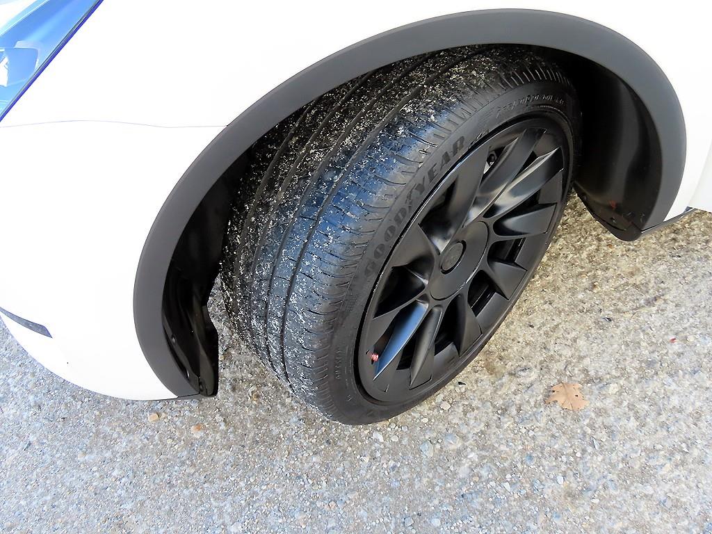 테슬라 모델 Y RWD - 이미지 8