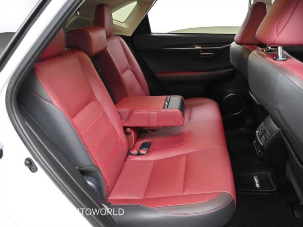 렉서스 NX 300h 이그제큐티브 - 이미지 8