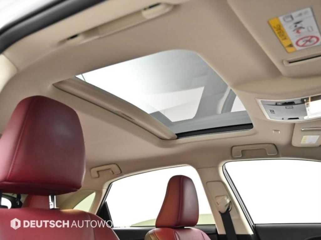 렉서스 NX 300h 이그제큐티브 - 이미지 14