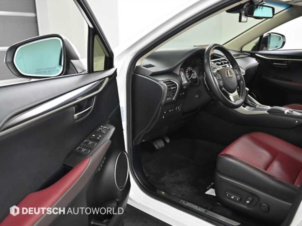 렉서스 NX 300h 이그제큐티브 - 이미지 13