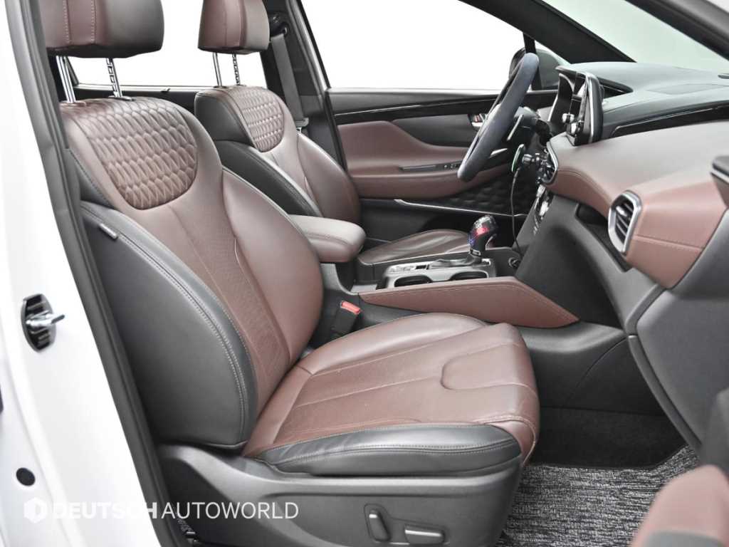 현대 싼타페(TM) R2.0 2WD 인스퍼레이션 - 이미지 3