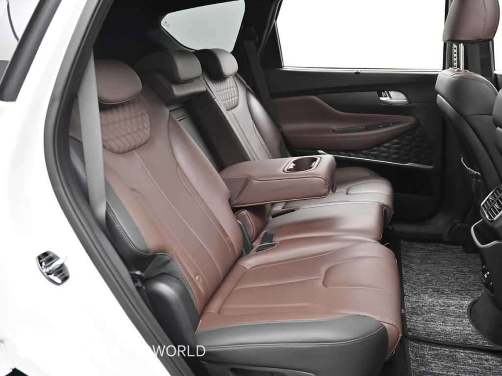 현대 싼타페(TM) R2.0 2WD 인스퍼레이션 - 이미지 11